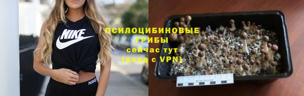 соль курить ск Зеленодольск