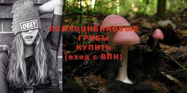 ешки Заволжск